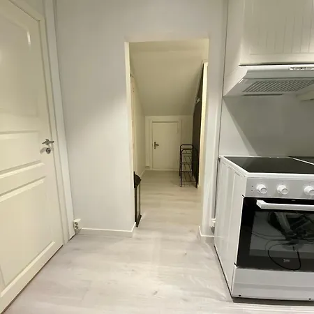 Cozy Little Attic דירה נרוויק