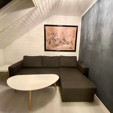 Cozy Little Attic *